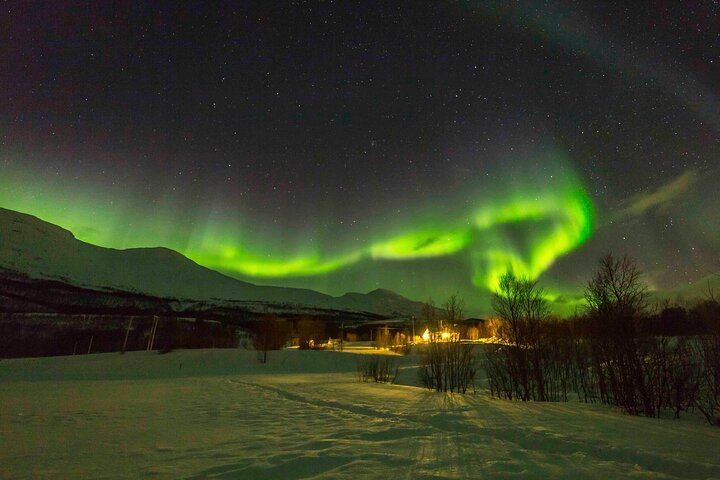 Reykjavík Northern Lights Bus Tour with a Chinese Speaking Guide 冰岛雷市中文极光团 (5/6)