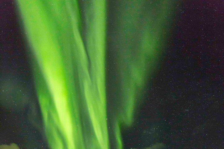 Reykjavík Northern Lights Bus Tour with a Chinese Speaking Guide 冰岛雷市中文极光团 (4/6)