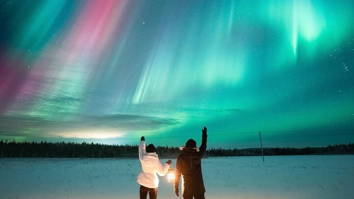 Rovaniemi Northern Lights Group Tour with Money Back Guarantee