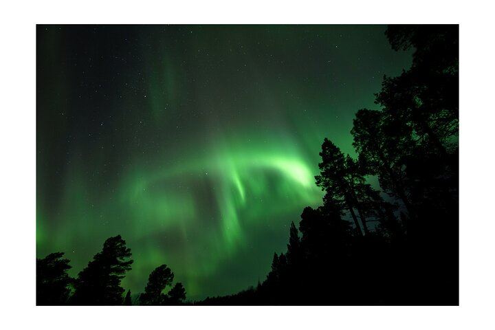 Kiruna Aurora Chase with a Street Food Dinner in a Tipi (11/12)