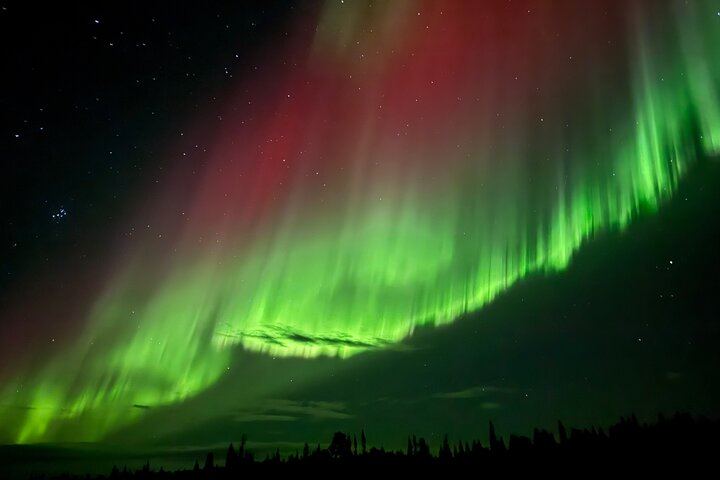 Kiruna Aurora Chase with a Street Food Dinner in a Tipi (2/12)