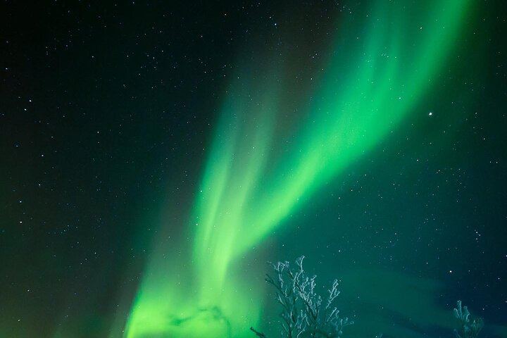 Kiruna Aurora Chase with a Street Food Dinner in a Tipi (6/12)