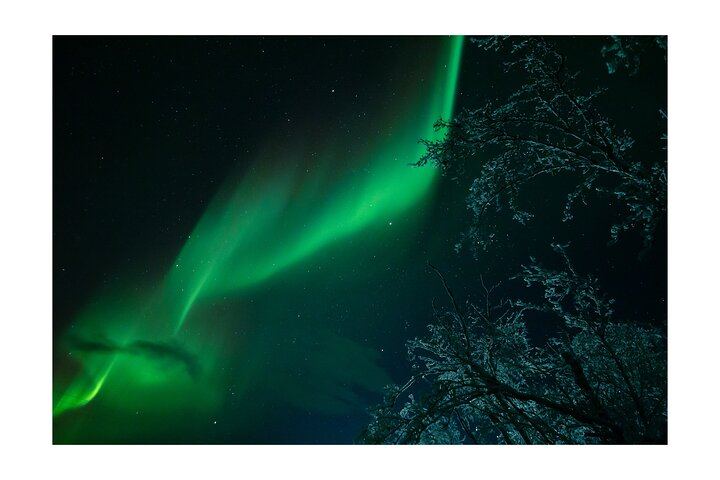 Kiruna Aurora Chase with a Street Food Dinner in a Tipi (9/12)