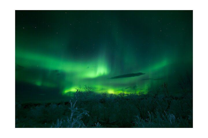 Kiruna Aurora Chase with a Street Food Dinner in a Tipi (7/12)