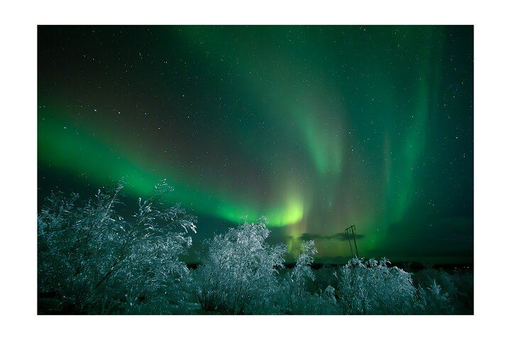 Kiruna Aurora Chase with a Street Food Dinner in a Tipi (8/12)