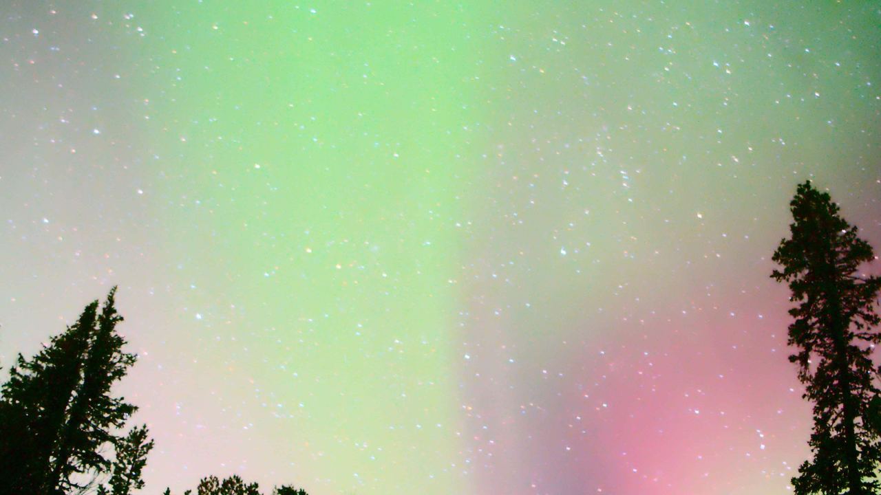 Kiruna Northern Lights Chase Through the Snowy Forests