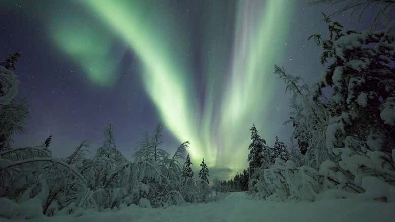 Kiruna Northern Lights Chase Through the Snowy Forests (2/7)