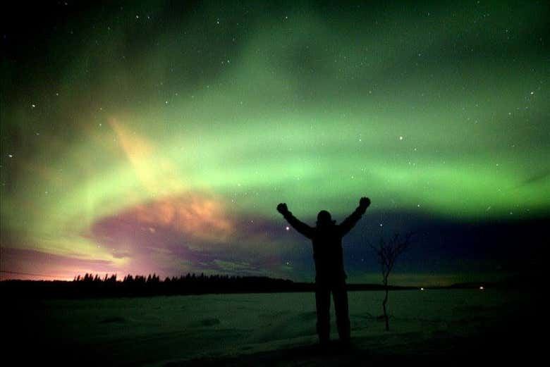 Kiruna Northern Lights Chase Through the Snowy Forests (1/7)