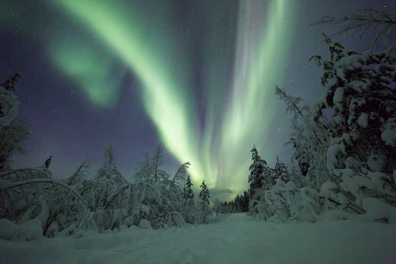 Kiruna Northern Lights Chase Through the Snowy Forests (2/7)