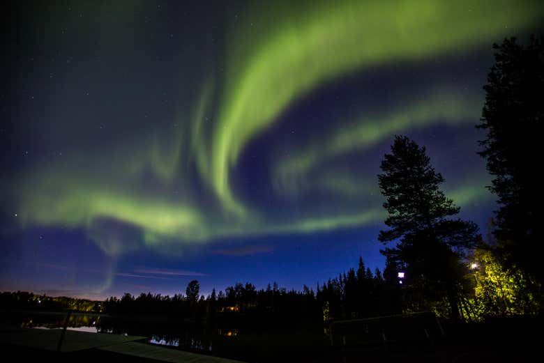 Kiruna Northern Lights Chase Through the Snowy Forests (3/7)