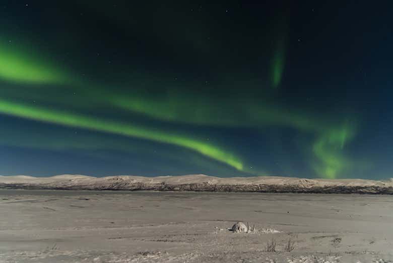 Kiruna Northern Lights Chase Through the Snowy Forests (5/7)