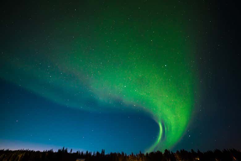 Kiruna Northern Lights Chase Through the Snowy Forests (7/7)
