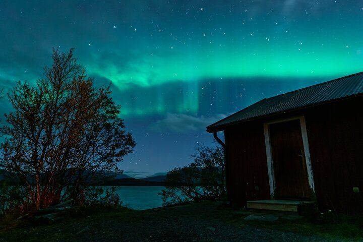 Kiruna Northern Lights Chase with a Photographer, Lights of Vikings (4/4)