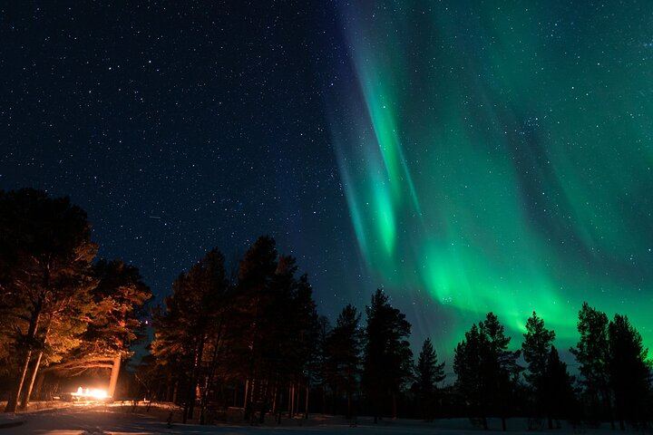 Kiruna Northern Lights Chase with a Photographer, Lights of Vikings (3/4)