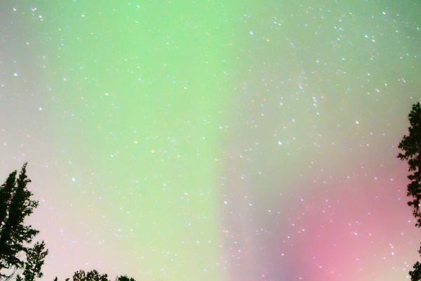 Kiruna Northern Lights Chase Through the Snowy Forests