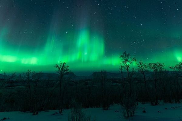 Kiruna Northern Lights Chase with a Photographer, Lights of Vikings
