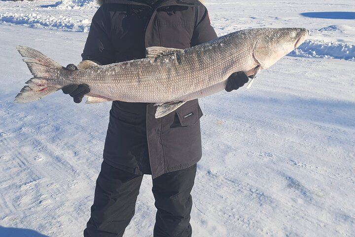 Yellowknife Winter Package: 5 Days, 4 Nights of Aurora and Day Trips (6/12)