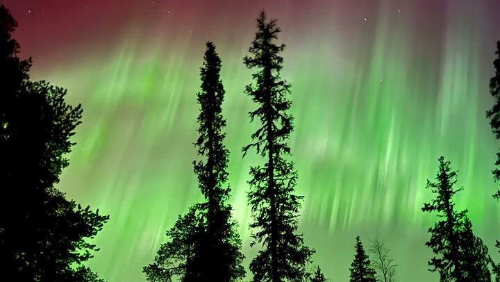 Levi Small Group Northern Lights Hunt with DSLR Photos (2/6)
