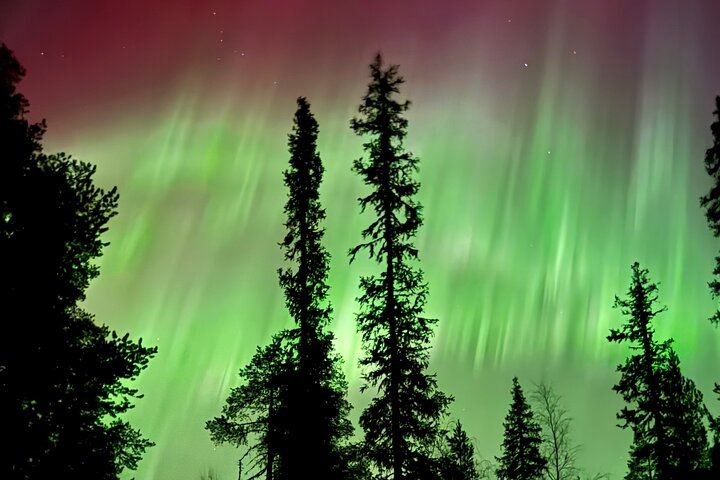 Levi Small Group Northern Lights Hunt with DSLR Photos (2/6)