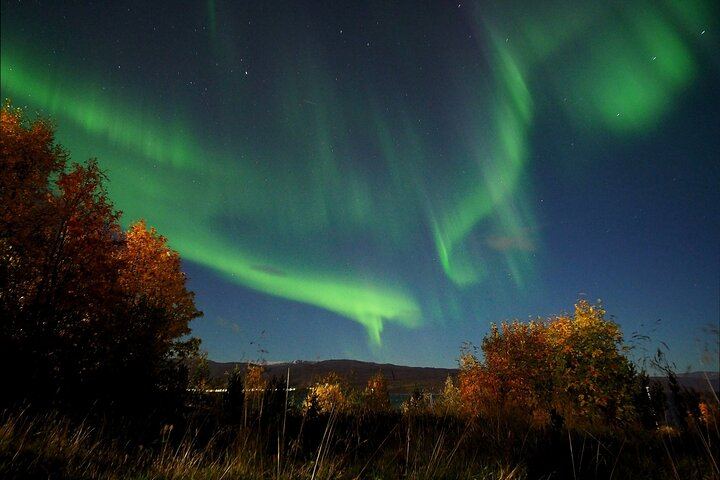 Northern Lights Tour Around the Altafjord with Alta Adventure (8/12)