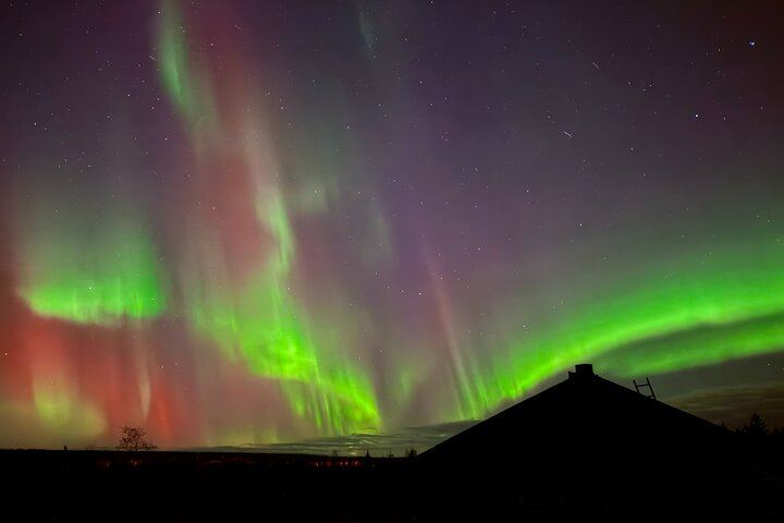 Aurora BBQ at a Private Kota near Rovaniemi, Three Hours (1/10)