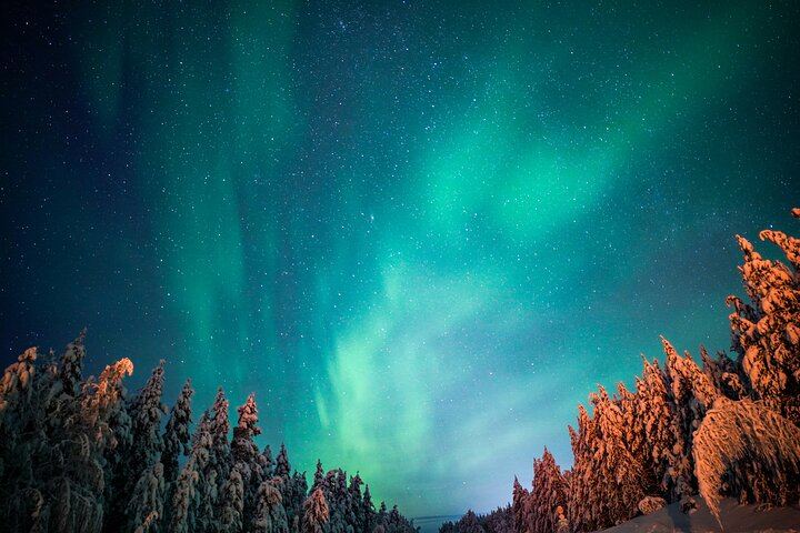 Family Friendly Northern Lights Evening from Rovaniemi, 3 Hours (8/11)