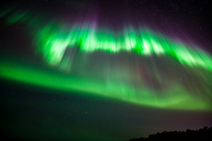 Family Friendly Northern Lights Evening from Rovaniemi, 3 Hours (11/11)