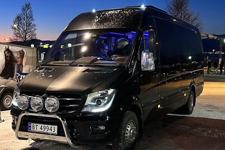 Minibus-Tour zur Beobachtung des Nordlichts in Tromsø, inklusive Skycam, Toilette, Verpflegung und Fotos (12/12)