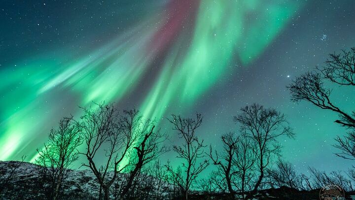 Minibus Northern Lights Chase from Tromso with Photography (3/9)
