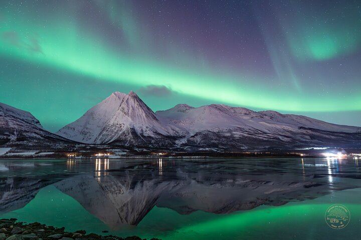 Minibus Northern Lights Chase from Tromso with Photography (1/9)