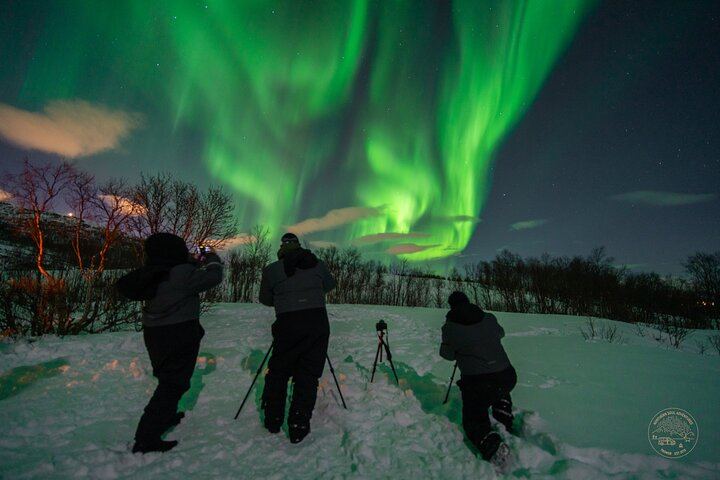 Minibus Northern Lights Chase from Tromso with Photography (4/9)