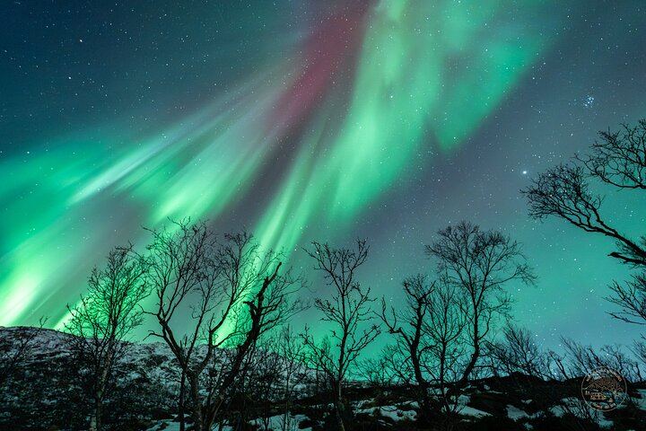 Minibus Northern Lights Chase from Tromso with Photography (3/9)