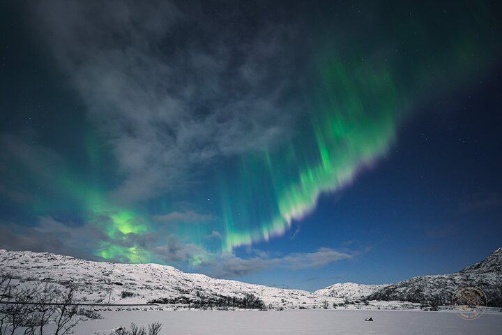 Minibus Northern Lights Chase from Tromso with Photography (8/9)