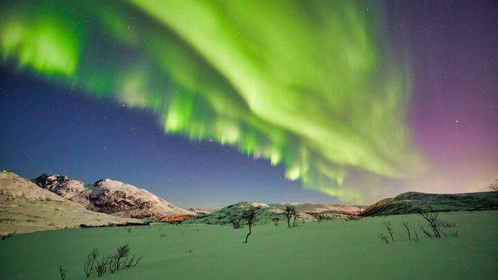 Northern Lights Minivan Excursion from Tromso, 8 Guests per Van