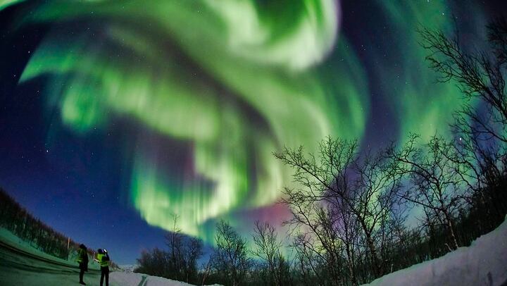 Northern Lights Minivan Excursion from Tromso, 8 Guests per Van (4/8)