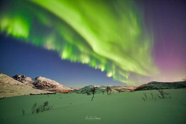 Northern Lights Minivan Excursion from Tromso, 8 Guests per Van