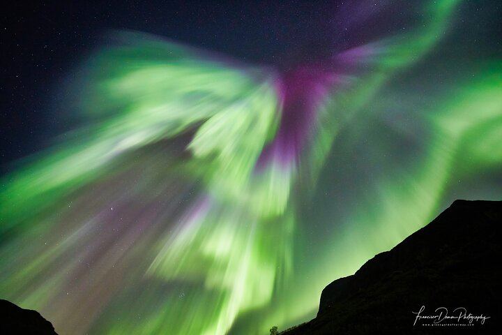 Northern Lights Minivan Excursion from Tromso, 8 Guests per Van (3/8)