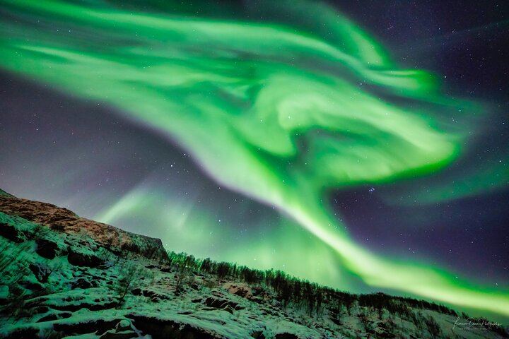 Northern Lights Minivan Excursion from Tromso, 8 Guests per Van (8/8)