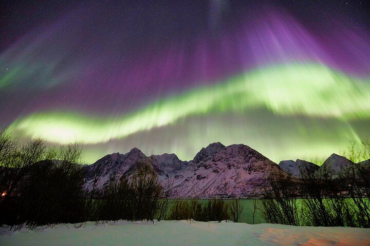 Northern Lights Minivan Excursion from Tromso, 8 Guests per Van (6/8)