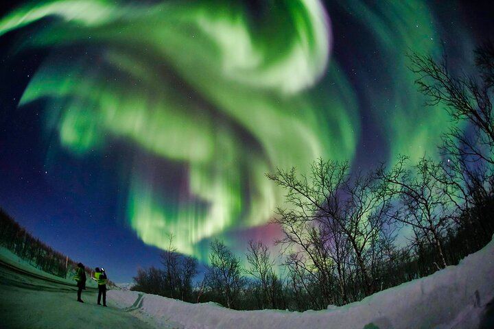 Northern Lights Minivan Excursion from Tromso, 8 Guests per Van (4/8)