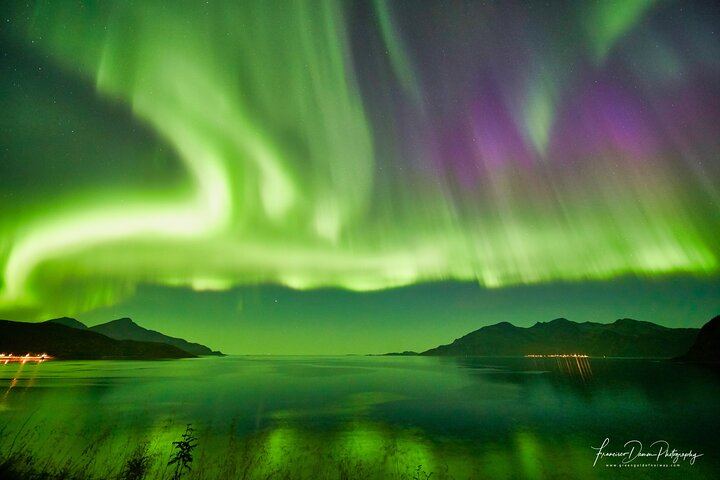 Northern Lights Minivan Excursion from Tromso, 8 Guests per Van (5/8)