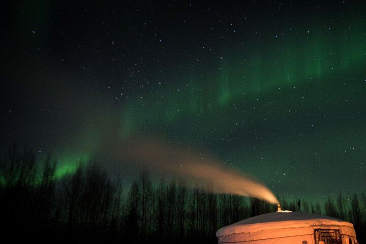 Autumn Aurora and Dog Mushing Cart Ride near Fairbanks (3/9)