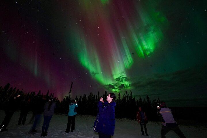 Cabane d'observation des aurores boréales en altitude, près de Fairbanks, offrant une vue à 360 degrés, idéale pour la photographie (9/12)