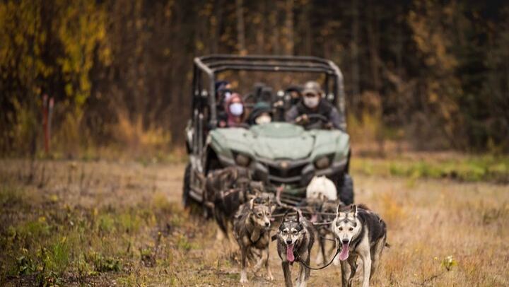 Autumn Aurora and Dog Mushing Cart Ride near Fairbanks (2/9)