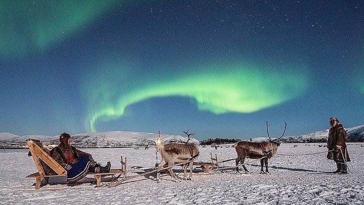 Night Reindeer Sledding with Camp Dinner and a Chance of Aurora (1/12)