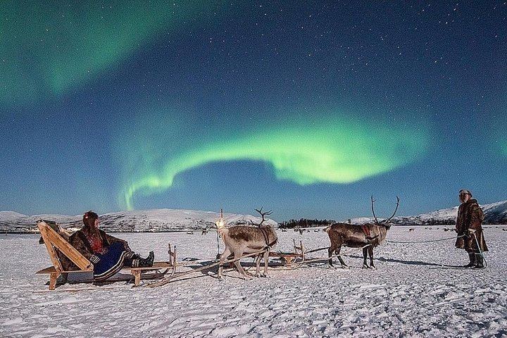 Night Reindeer Sledding with Camp Dinner and a Chance of Aurora (1/12)