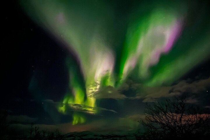 Marianne's Heaven On Earth Aurora Chaser Tours from Tromso (9/12)