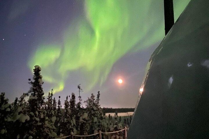 Skydome Aurora Viewing near Yellowknife with Hotel Pickup (1/12)