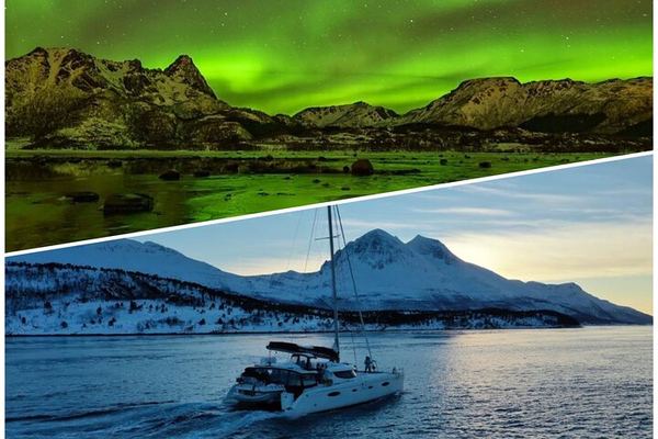 Northern Lights Cruise by Luxury Catamaran from Tromso