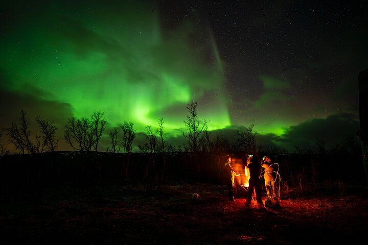 Chasse aux aurores en minibus à Tromsø, avec connexion Wi-Fi à bord (1/7)